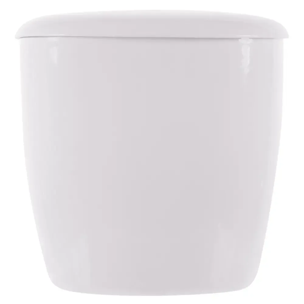 Бачок фаянсовый высокий (Новосибирск) б/арм. под кнопку н/п